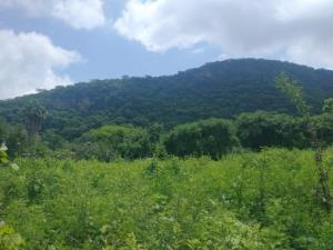 Terreno en venta en San Andrés de la Cal, Tepoztlán — foto 3 de 5
