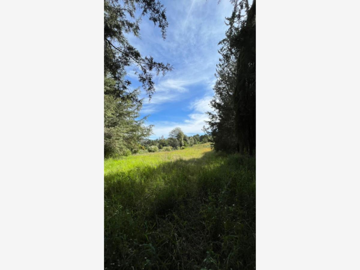 Terreno en venta en Tapalpa, Tapalpa — foto 1 de 5