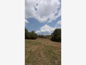 Terreno en venta en Tapalpa, Tapalpa — foto 2 de 5