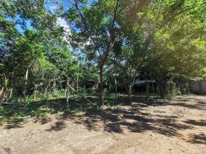 Terreno en venta en Malinche, Acayucan — foto 2 de 3
