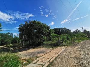 Terreno en venta en Malinche, Acayucan — foto 3 de 3