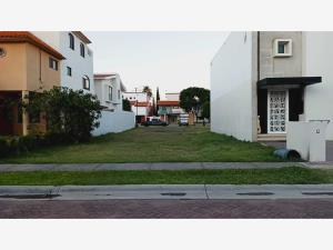 Terreno en venta en San Antonio de Ayala, Irapuato, Guanajuato