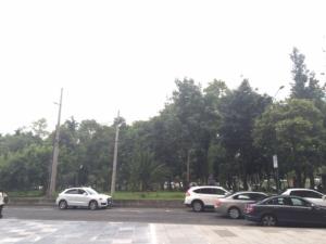 Oficina en renta en Polanco I Sección, Miguel Hidalgo — foto 3 de 4