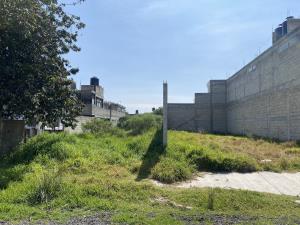Terreno en venta en San Francisco, San Mateo Atenco — foto 2 de 4