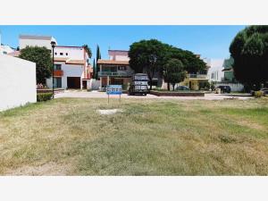 Terreno en venta en San Antonio de Ayala, Irapuato — foto 3 de 8