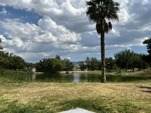 Terreno en venta en Del Marquez, Parras — foto 3 de 6