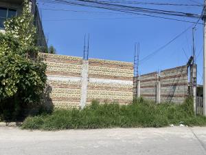 Terreno en venta en San Lucas, San Mateo Atenco — foto 3 de 4