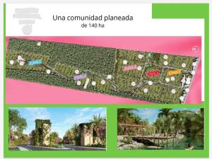 Terreno en venta en Campestre, Mérida — foto 2 de 5