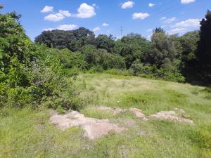Terreno en venta en San Alfonso, Atlixco, Puebla Terreno en venta en San Alfonso, Atlixco, Puebla