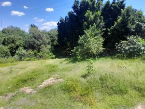 Terreno en venta en San Alfonso, Atlixco — foto 3 de 30