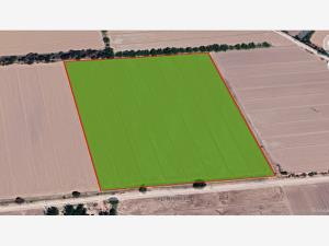Terreno en venta en Quintas San Isidro, Lerdo — foto 3 de 6