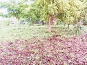 Terreno en venta en El Tejar, Medellín de Bravo — foto 3 de 3
