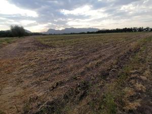 Terreno en venta en Quintas San Isidro, Lerdo — foto 2 de 6
