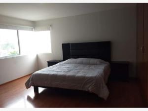 Departamento en renta en Centro, Monterrey — foto 3 de 13