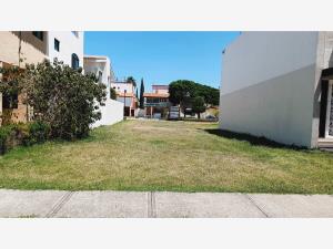 Terreno en venta en San Antonio de Ayala, Irapuato — foto 3 de 6