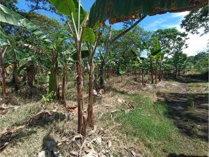 Terreno en venta en Monte Salas, Fortín — foto 2 de 20