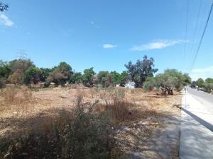 Terreno en renta en Loma Alta, Tecate — foto 2 de 12