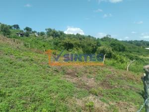 Terreno en venta en Lomas Verdes, Poza Rica de Hidalgo, Veracruz de Ignacio de la Llave Terreno en venta en Lomas Verdes, Poza Rica de Hidalgo, Veracruz de Ignacio de la Llave