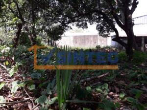 Terreno en venta en Arroyo del Maiz, Poza Rica de Hidalgo, Veracruz de Ignacio de la Llave