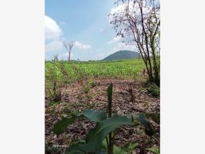 Finca-Rancho en venta en Pijijiapan Centro, Pijijiapan — foto 2 de 3