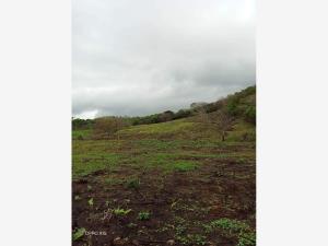 Finca-Rancho en venta en Pijijiapan Centro, Pijijiapan — foto 3 de 3
