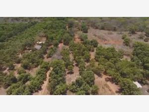 Terreno en venta en San Blas Centro, San Blas, Nayarit