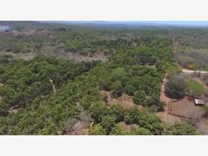 Terreno en venta en San Blas Centro, San Blas — foto 3 de 11
