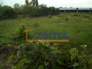 Terreno en venta en Adolfo Ruiz Cortines, Coatzintla — foto 3 de 7