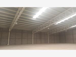 Nave en renta en Parque Industrial Santa Rita, Gómez Palacio — foto 2 de 10
