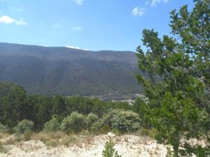 Terreno en venta en San Antonio de las Alazanas, Arteaga — foto 2 de 10