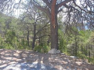Terreno en venta en San Antonio de las Alazanas, Arteaga — foto 3 de 10