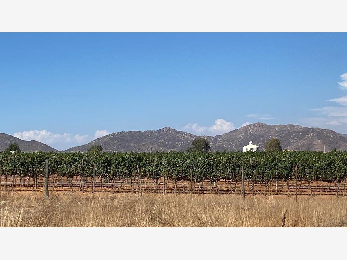 Terreno en venta en El Porvenir (Guadalupe), Ensenada — foto 1 de 13