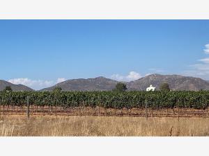 Terreno en venta en El Porvenir (Guadalupe), Ensenada, Baja California