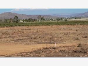 Terreno en venta en El Porvenir (Guadalupe), Ensenada — foto 2 de 13