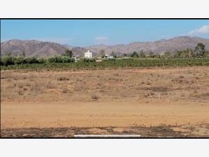 Terreno en venta en El Porvenir (Guadalupe), Ensenada — foto 3 de 13