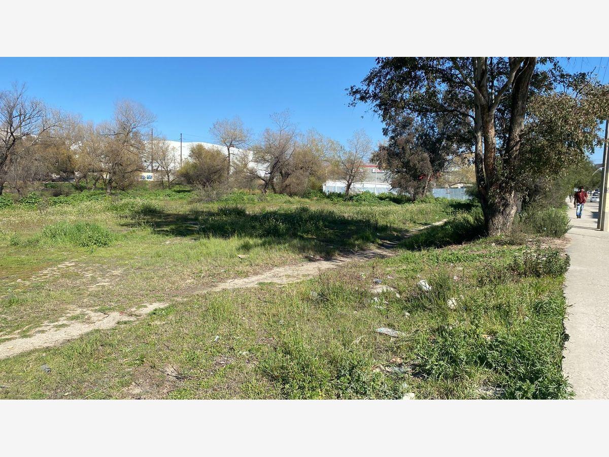 Terreno en venta en Loma Alta, Tecate — foto 1 de 15