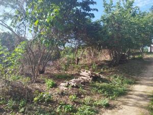 Terreno en venta en Techal Blanco, Santa María Huatulco — foto 3 de 7