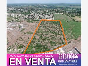 Terreno en venta en La Herradura, Navojoa, Sonora