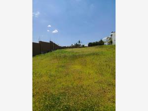 Terreno en venta en Lomas de Angelópolis II, San Andrés Cholula — foto 3 de 5