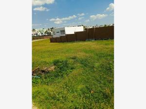 Terreno en venta en Lomas de Angelópolis II, San Andrés Cholula — foto 3 de 5