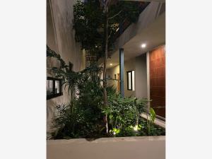 Departamento en renta en Cholul, Mérida — foto 3 de 16