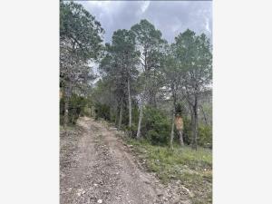 Terreno en venta en Jame, Arteaga, Coahuila de Zaragoza Terreno en venta en Jame, Arteaga, Coahuila de Zaragoza