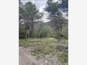 Terreno en venta en Jame, Arteaga — foto 2 de 9