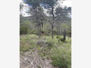 Terreno en venta en Jame, Arteaga — foto 3 de 9
