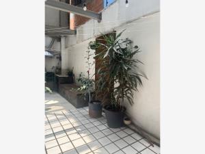 Departamento en venta en Del Valle Centro, Benito Juárez — foto 3 de 24