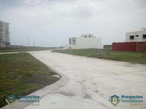 Terreno en venta en Costa de la Palma, Alvarado — foto 3 de 8