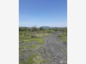 Terreno en venta en Zacatepec de Hidalgo Centro, Zacatepec — foto 2 de 8