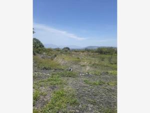 Terreno en venta en Zacatepec de Hidalgo Centro, Zacatepec — foto 3 de 8