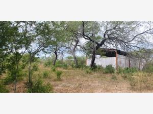 Finca-Rancho en venta en Rancho Escondido, Montemorelos — foto 3 de 13