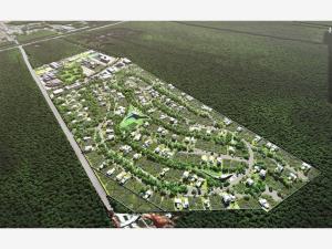 Terreno en venta en Tamanche, Mérida — foto 3 de 32